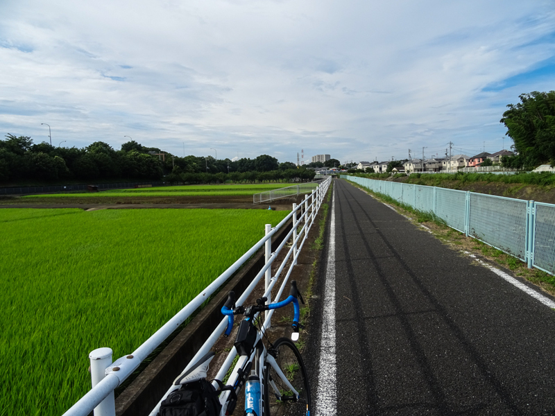 20180708境川_006.jpg