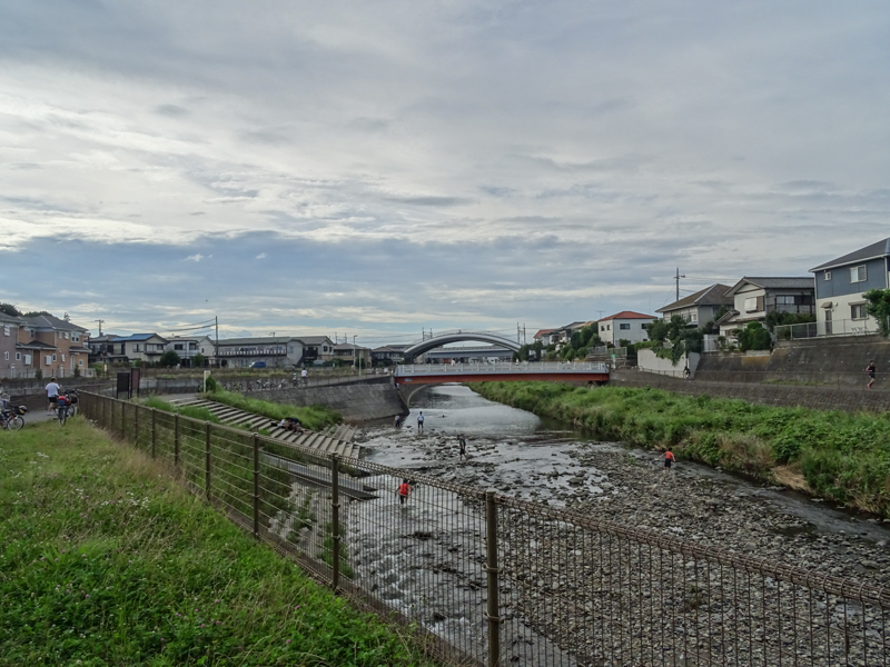 20180708境川_008.jpg