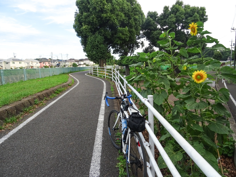 20180708境川_015.jpg