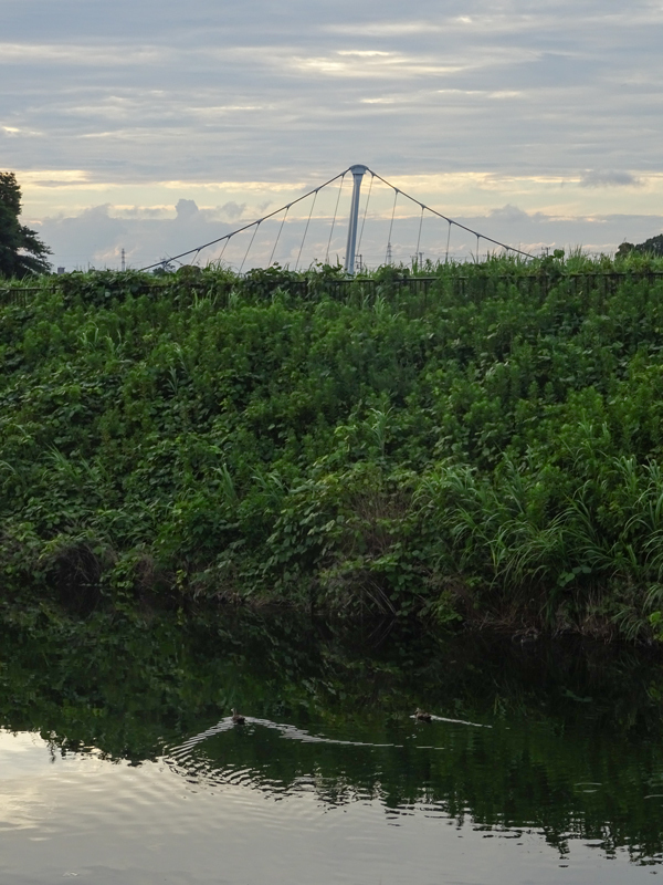 20180708境川_018.jpg