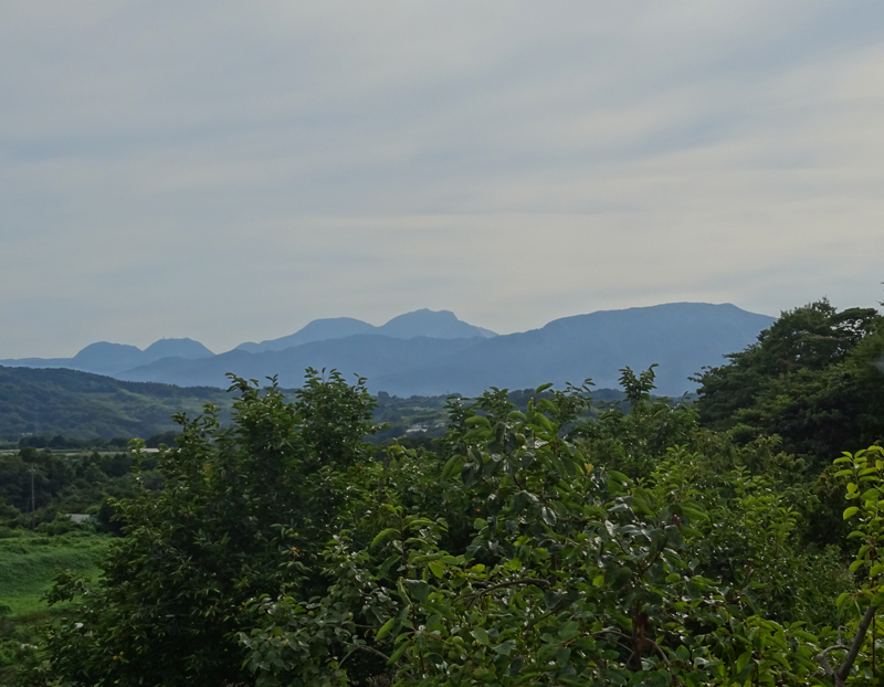 20180819-007.jpg