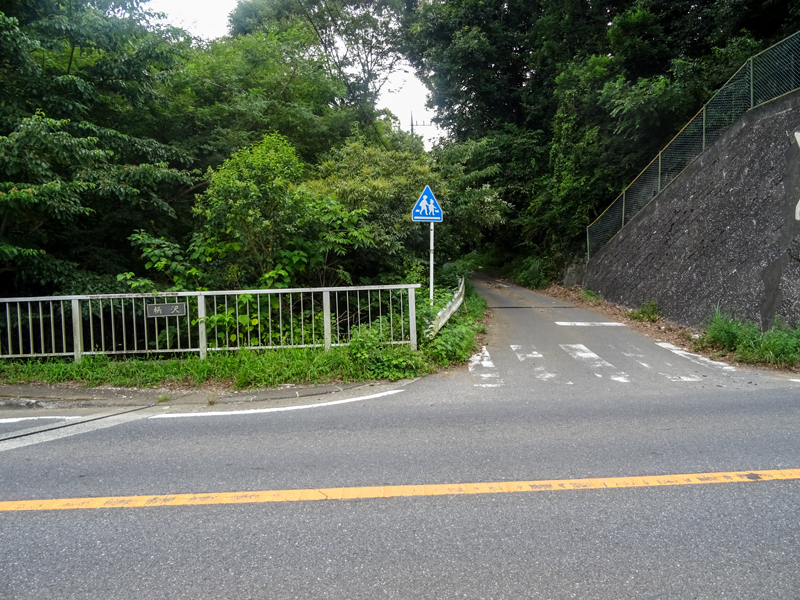 20180819-009-1.jpg