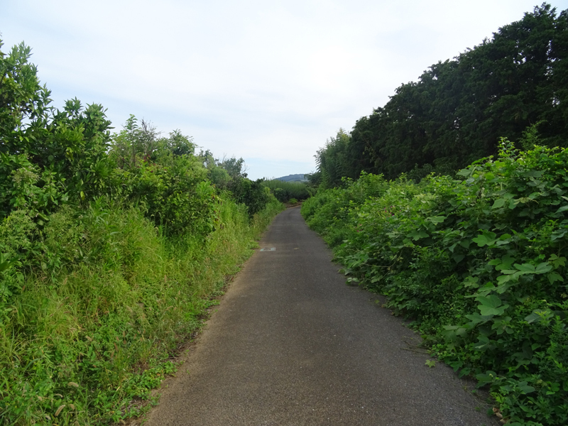 20180819-009.jpg