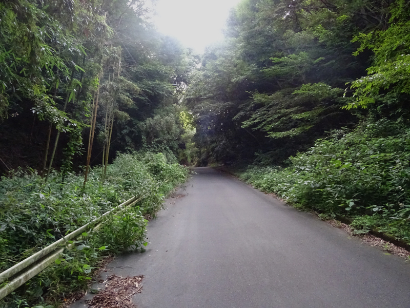 20180819-010.jpg