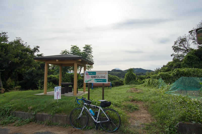 20180819-016.jpg