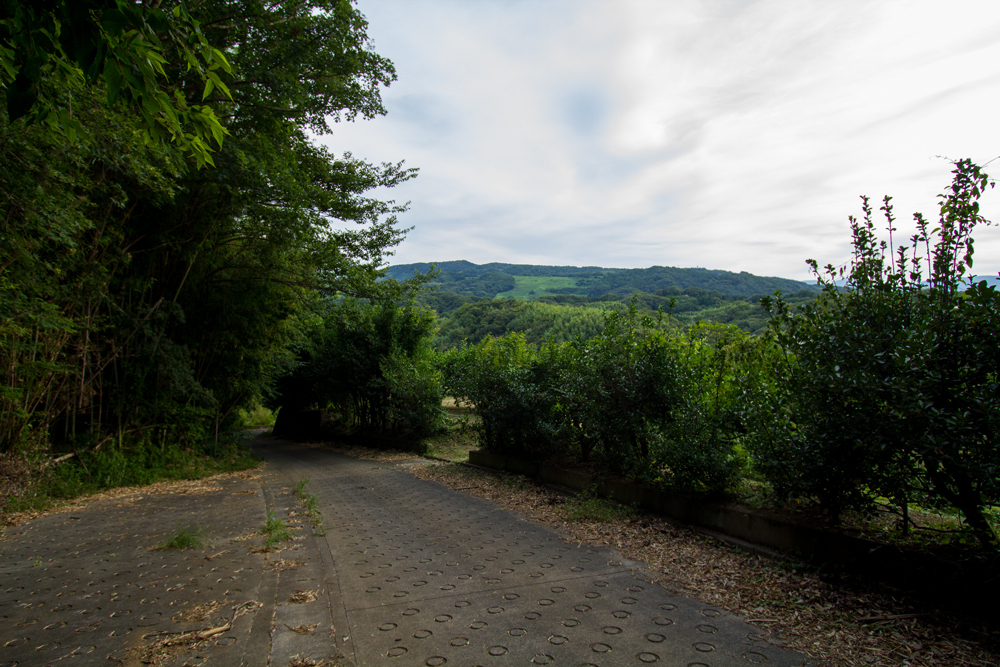 20180819-017.jpg