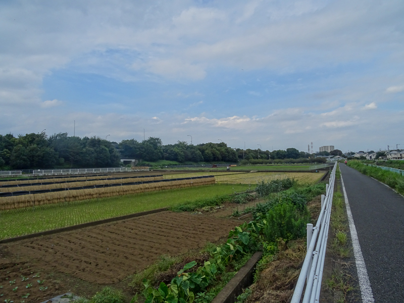 20180917境川CR-010.jpg