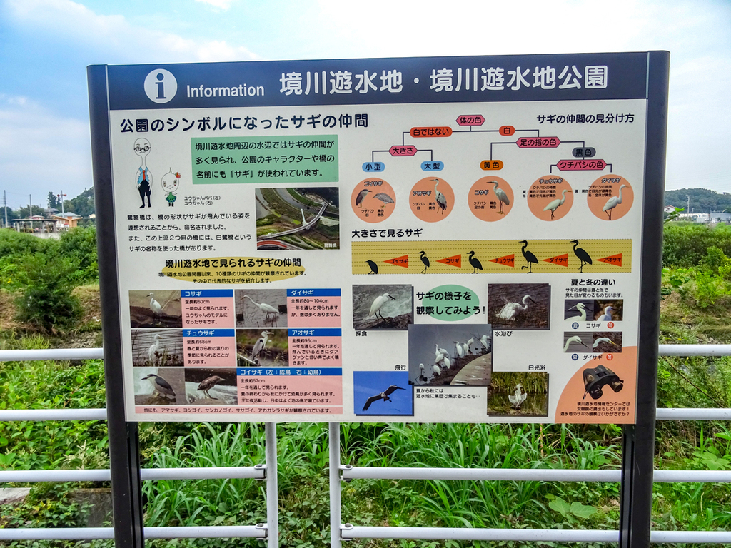 20180917境川CR-014-1.jpg