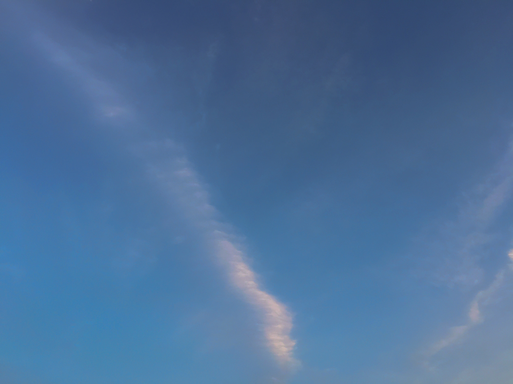 20180924-003-1.jpg