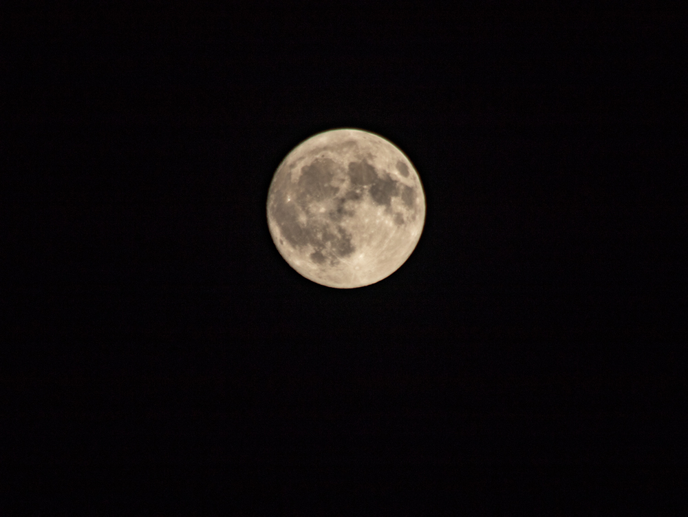 20180924-005.jpg