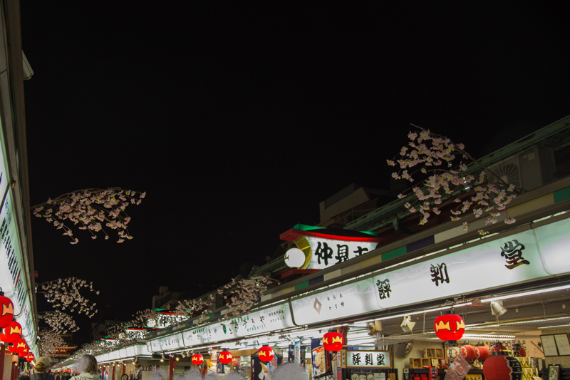 2018 冬の浅草夜景散策002.jpg