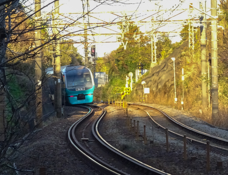 2019-01-05 根府川-011.jpg
