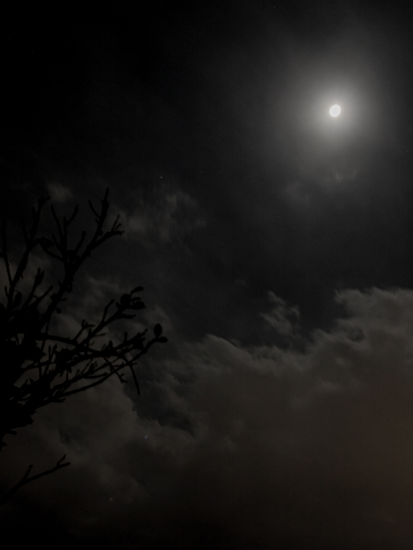 2019-02-夜空-003.jpg