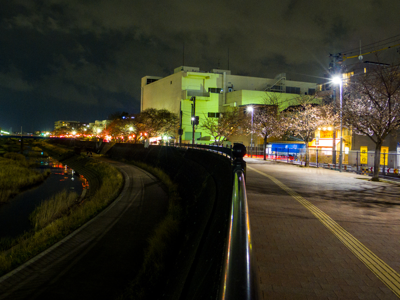 2019-03-kashiogawa-003.jpg