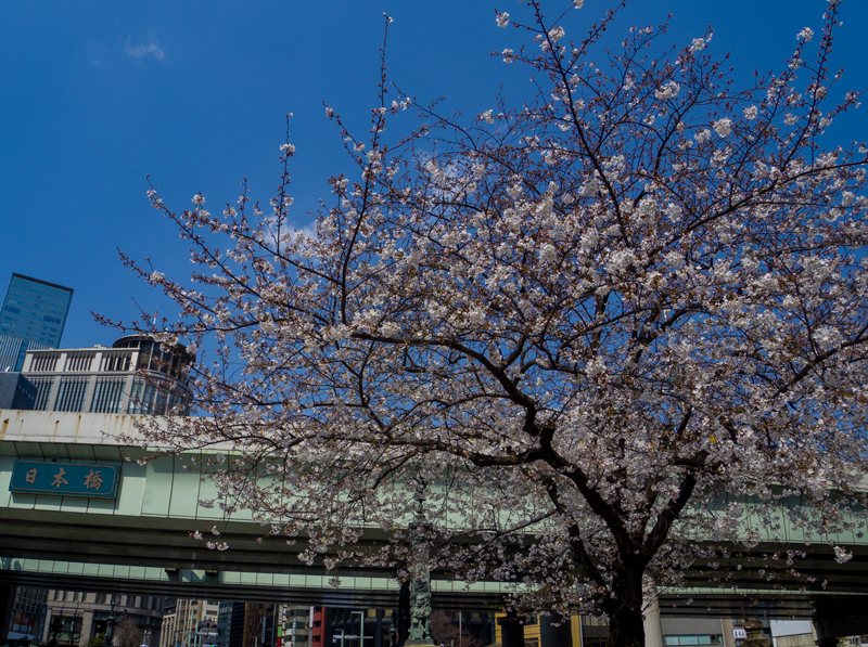 2019-03-nihonbashi-000.jpg