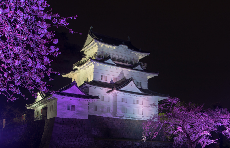 2019-03-odawara-0000.jpg
