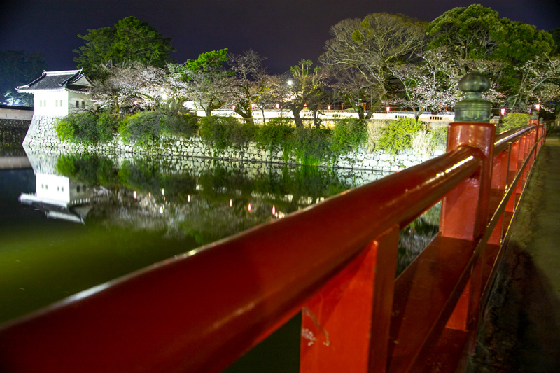 2019-03-odawara-004.jpg
