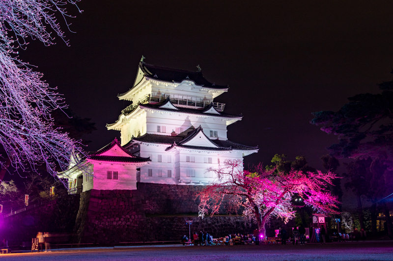 2019-03-odawara-005.jpg