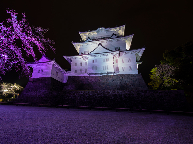 2019-03-odawara-011.jpg