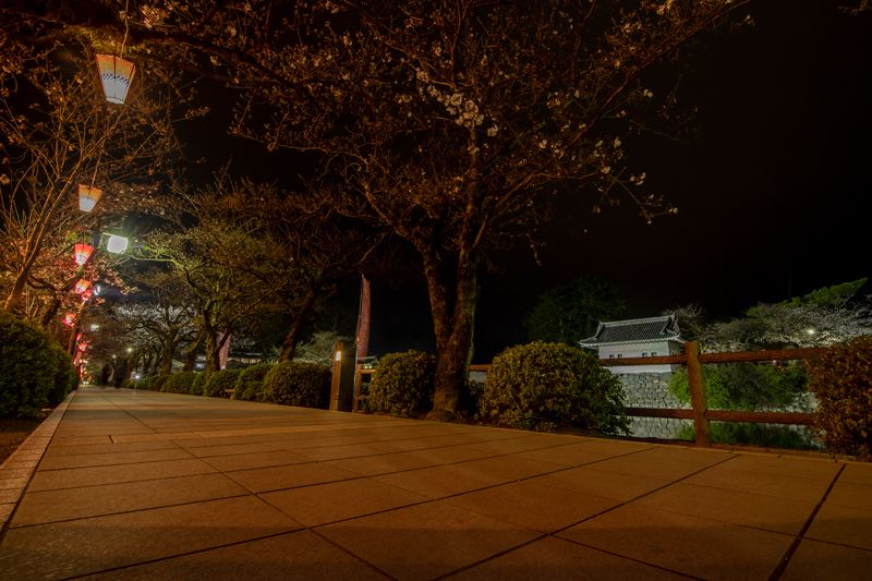 2019-03-odawara-016-1.jpg