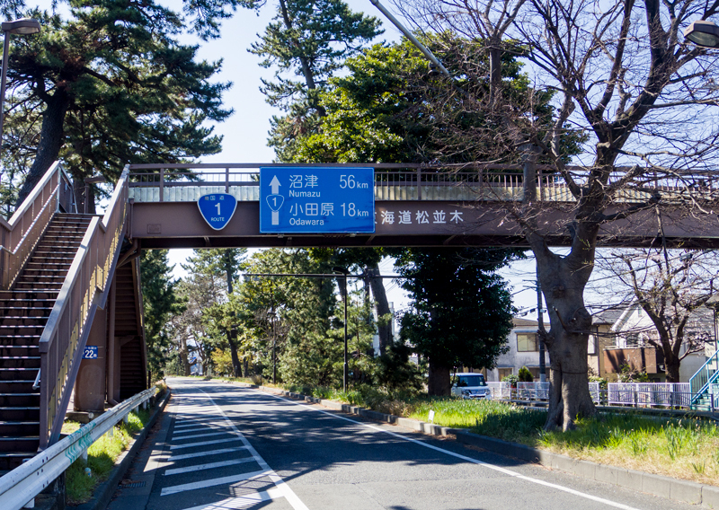 2019-03minamiashigararaide-001.jpg