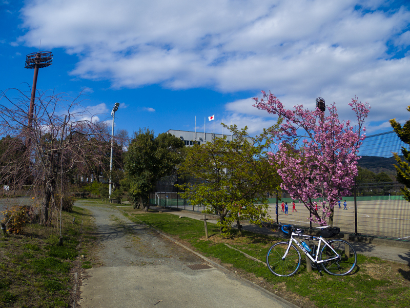 2019-03minamiashigararaide-003.jpg
