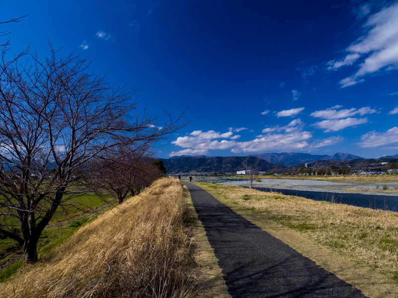 2019-03minamiashigararaide-005.jpg
