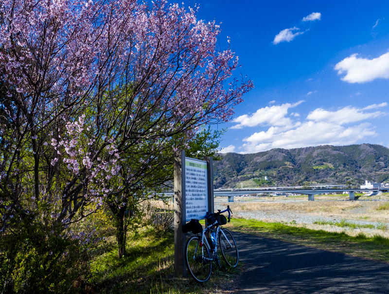 2019-03minamiashigararaide-006.jpg