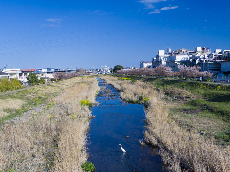 2019-03minamiashigararaide-009.jpg