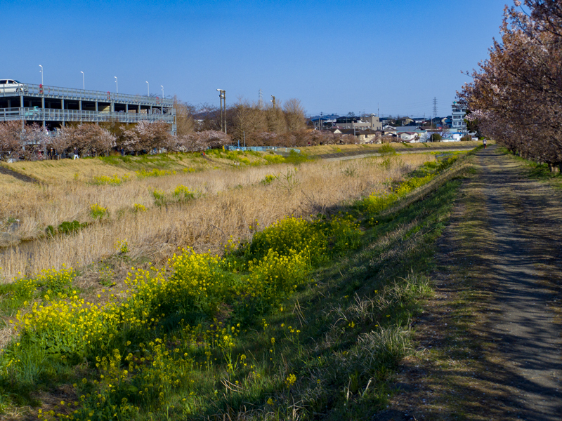 2019-03minamiashigararaide-010.jpg
