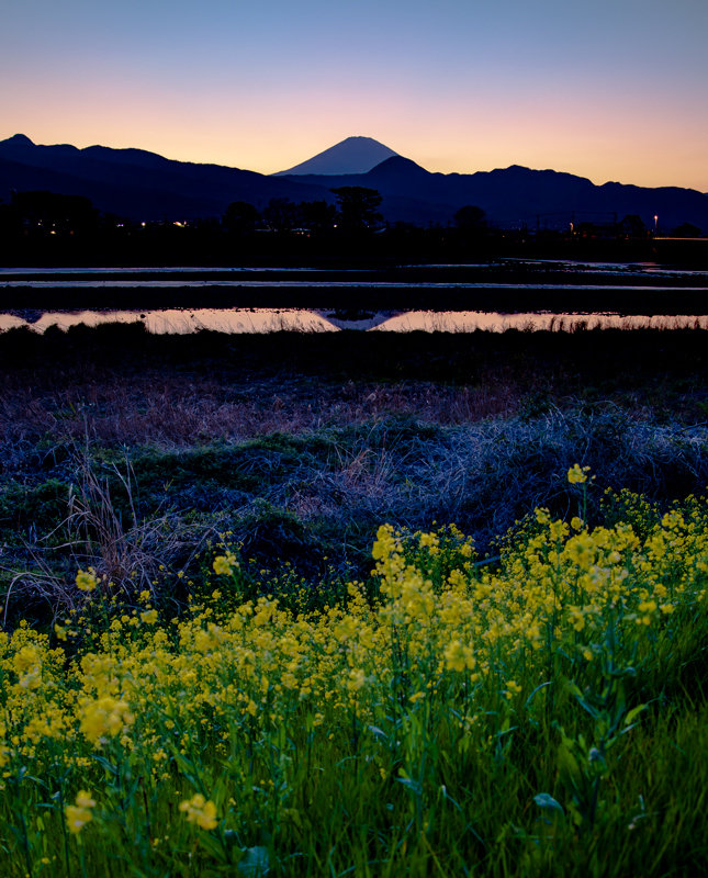 2019-03minamiashigararaide-024-1.jpg