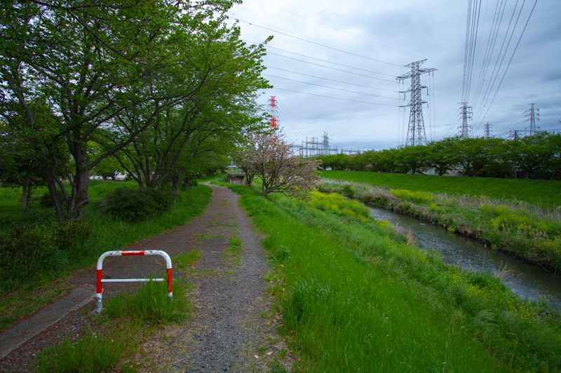 2019-04-gw-015.jpg
