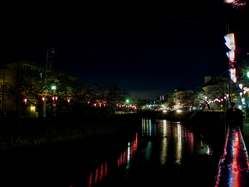2019-04-oookagawa-sakura-03.jpg