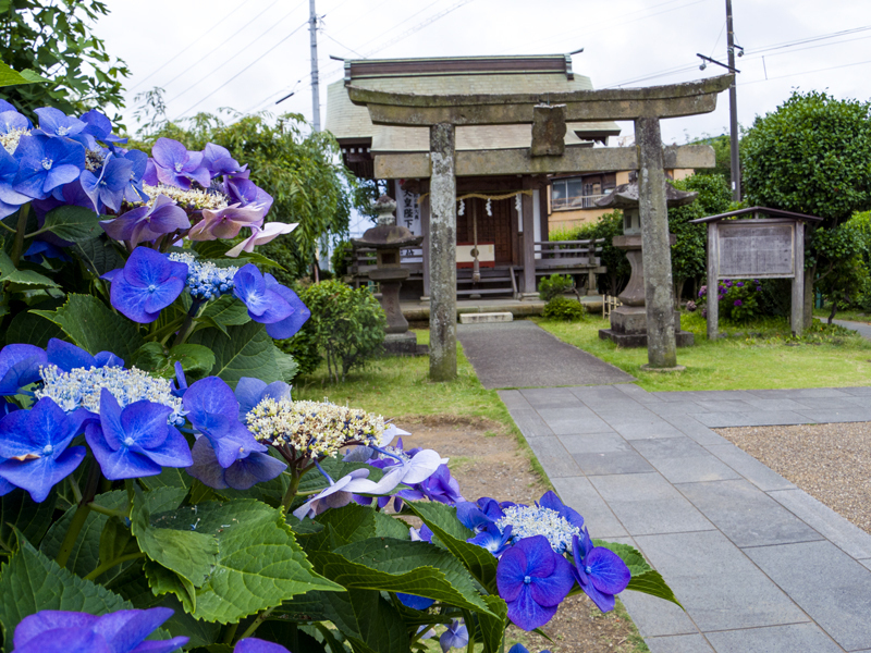 2019-07駿河-003.jpg