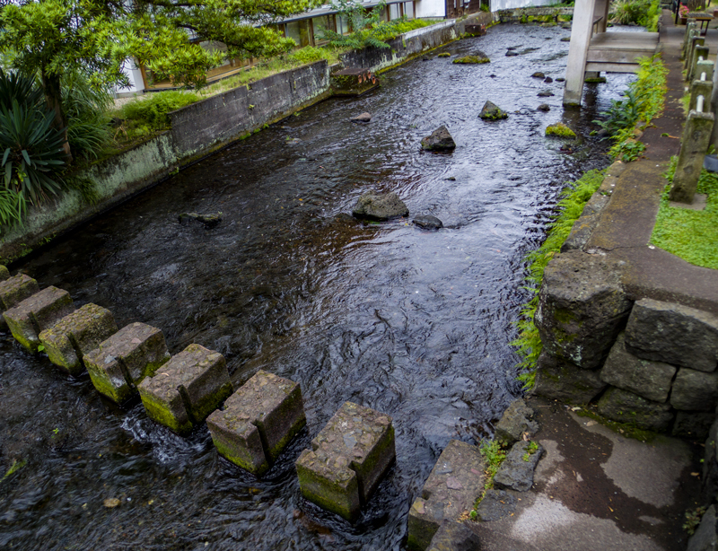 2019-07駿河-005.jpg