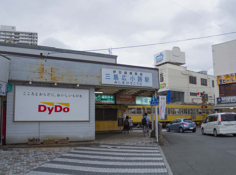 2019-07駿河-007.jpg