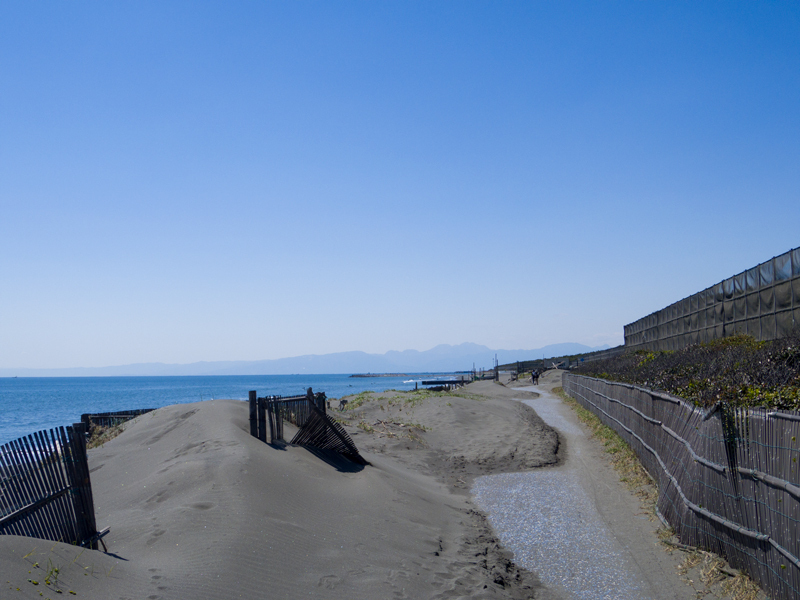 2019-4Naka-yamakita-000.jpg