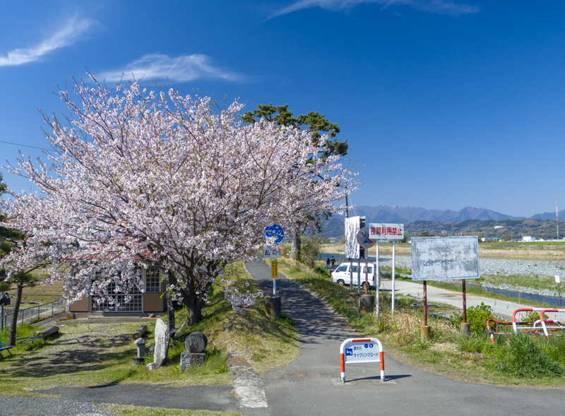 2019-4Naka-yamakita-003.jpg