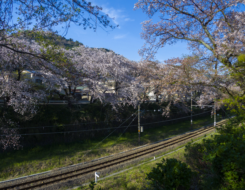 2019-4Naka-yamakita-005.jpg