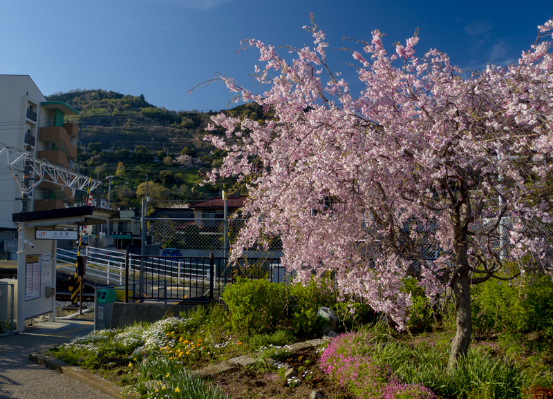 2019-4Naka-yamakita-006.jpg