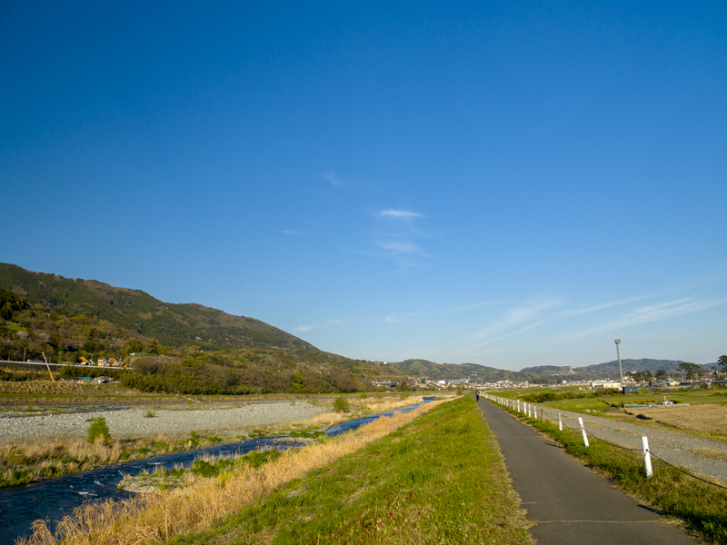 2019-4Naka-yamakita-008.jpg