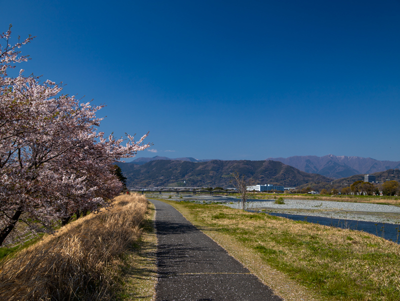 2019-4Naka-yamakita-013.jpg