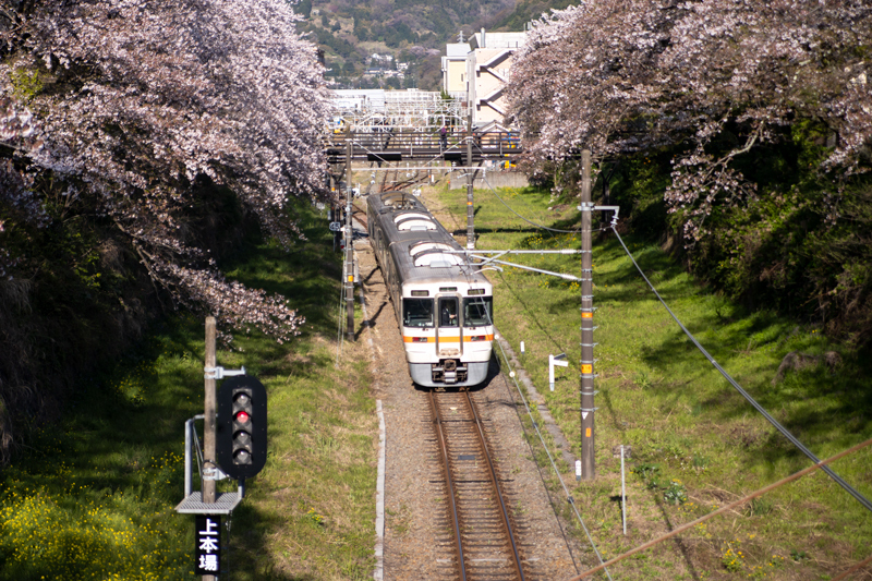2019-4Naka-yamakita-015.jpg