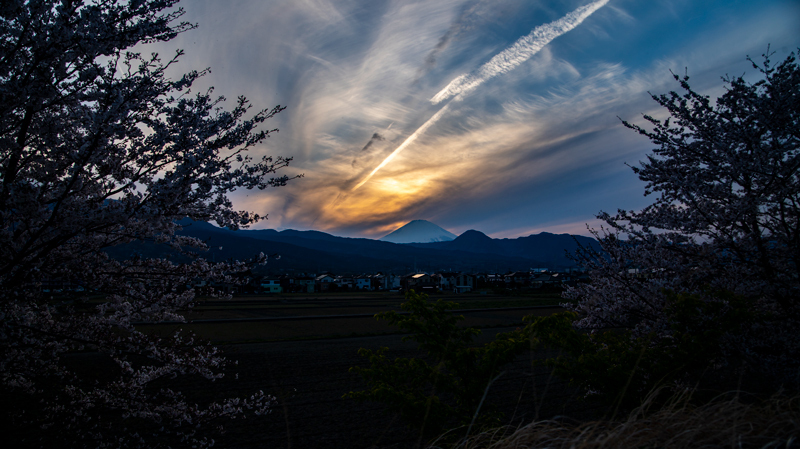 2019-4Naka-yamakita-019.jpg