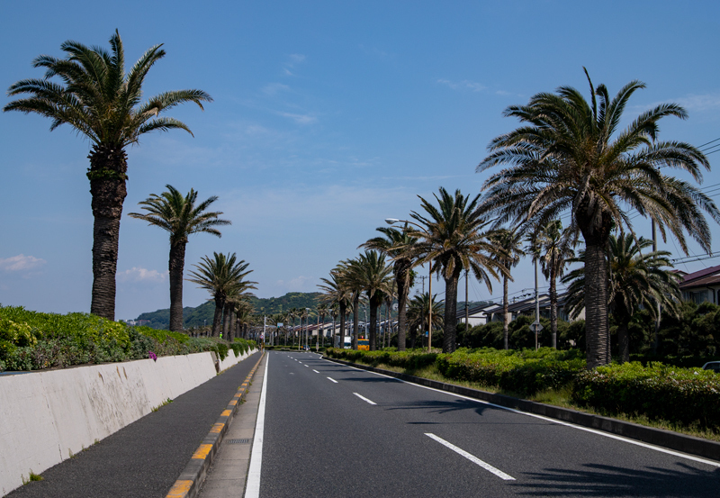 2019-5-三浦半島一周ライド-018.jpg