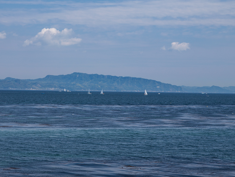 2019-5-三浦半島一周ライド-026.jpg