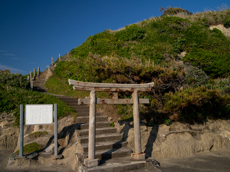 2019-5-三浦半島一周ライド-041-3.jpg