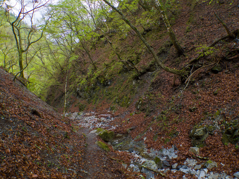 2019-5gw-003.jpg