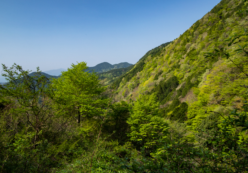 2019-5gw-007.jpg
