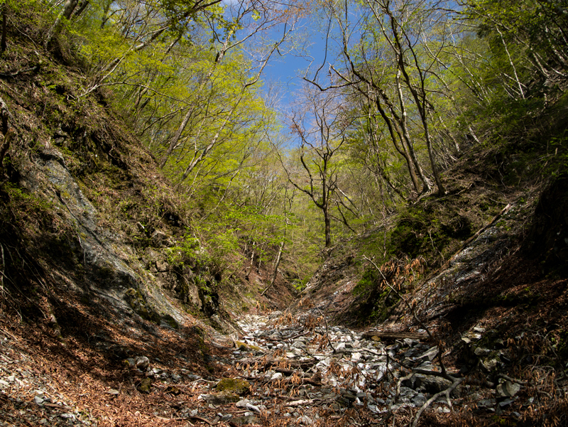 2019-5gw-014.jpg